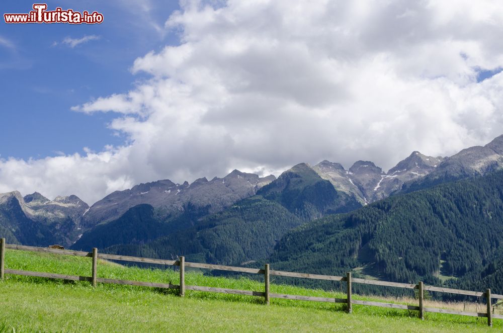 Immagine Trekking sui pascoli di Bellamonte, località posta in Val di Fiemme tra il Passo Rolle e Predazzo, in Trentino