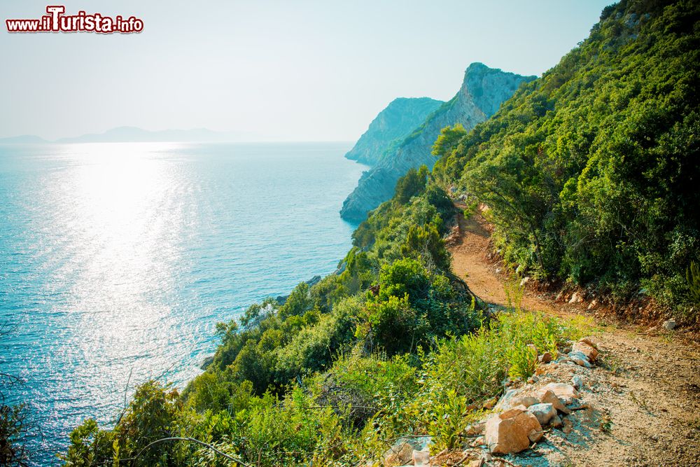 Immagine Trekking sull'isola di Siban in Croazia, siamo al largo di Dubrovnik in Dalmazia