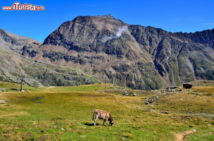 Immagine Trekking in Val Senales, Trentino Alto Adige. I sentieri su cui ci si può incamminare per andare alla scoperta di questo suggestivo angolo del territorio trentino sono davvero molti ad iniziare dalla Cima del Dosso sino alla baita Similaunhutte e al Monte di Corzès. Le escursioni vanno dalle 3 alle 8 ore - © maudanros / Shutterstock.com