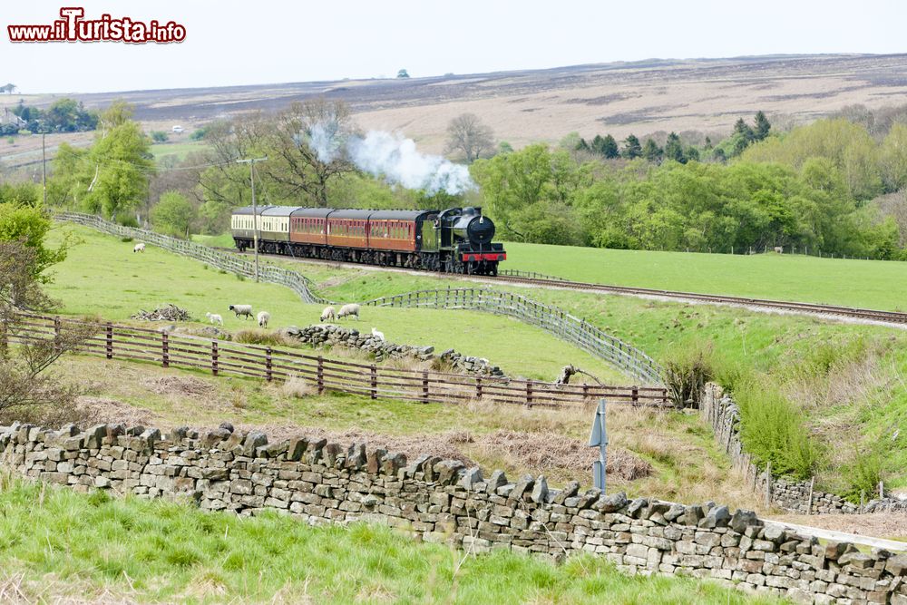 Immagine Treno a vapore nelle campagne della regione di Yorshire and the Humber, Inghilterra. Si tratta di un treno della North Yorkshire Moors Railway (NYMR).