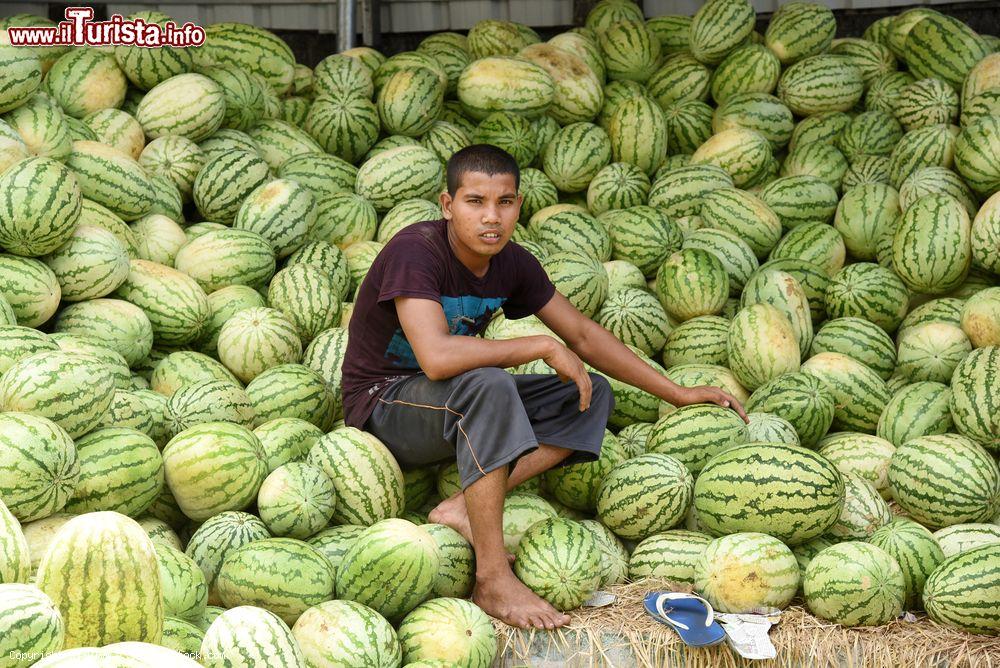 Immagine Trivandrum, capitale del Kerala, India: un ragazzo seduto fra i meloni in un mercato di frutta e verdura - © AjayTvm / Shutterstock.com