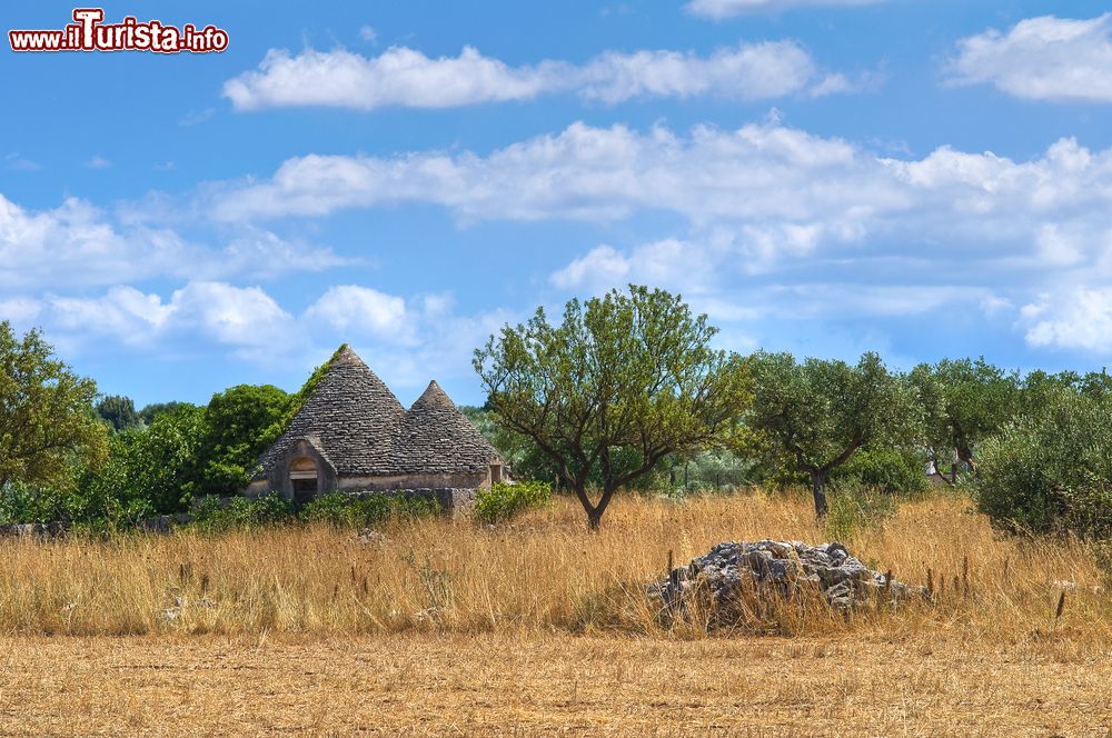 Immagine Trulli nella Valle d'Itria nei dintorni di Noci in Puglia