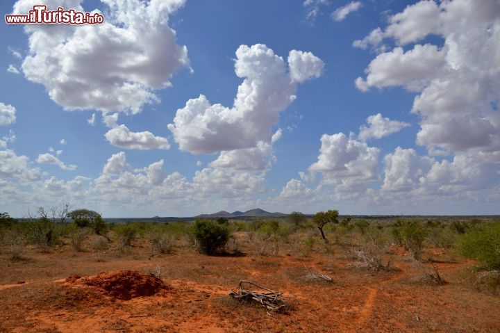 Immagine La savana del Parco Nazionale dello Tsavo, in Kenya, con i suoi colori tipici: il rosso della terra, il verde dei cespugli e l'azzurro intenso del cielo.