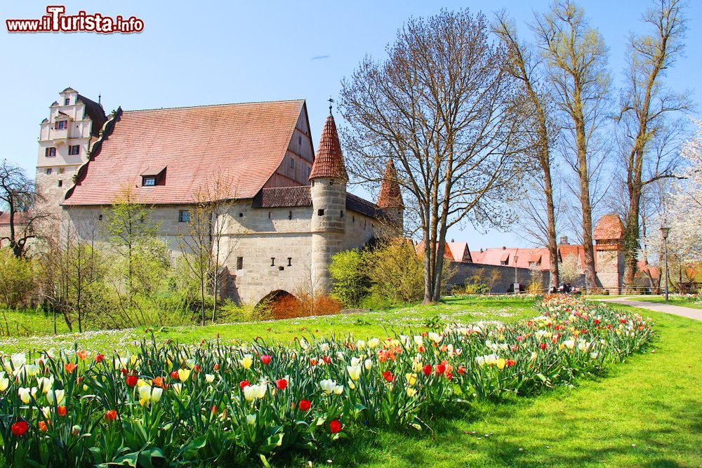 Immagine Tulipani colorati con un vecchio castello a Donauworth, città bavarese fondata nel 500 con il nome di Ried.