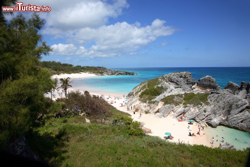 Immagine Turisti a Horseshoe Bay, Bermuda: questa spiaggia è una delle più frequentate per i suoi fondali poco profondi.