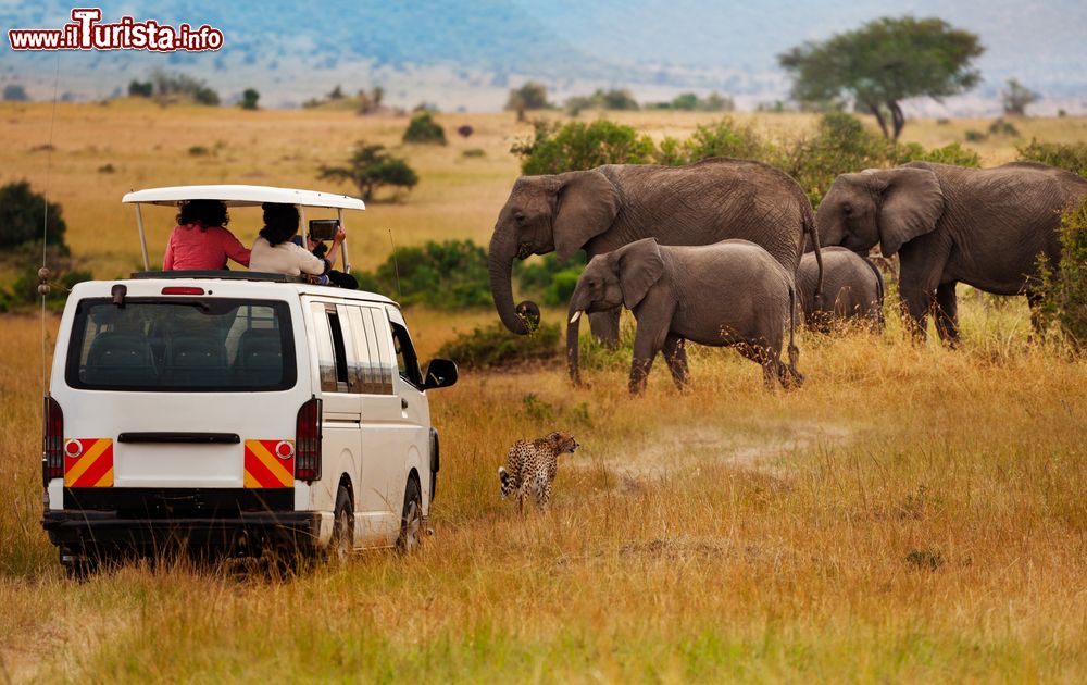 Immagine Turisti in tour nell'Amboseli fotografano un gruppo di elefanti, Kenya. E' uno dei luoghi migliori al mondo per un safari fotografico.