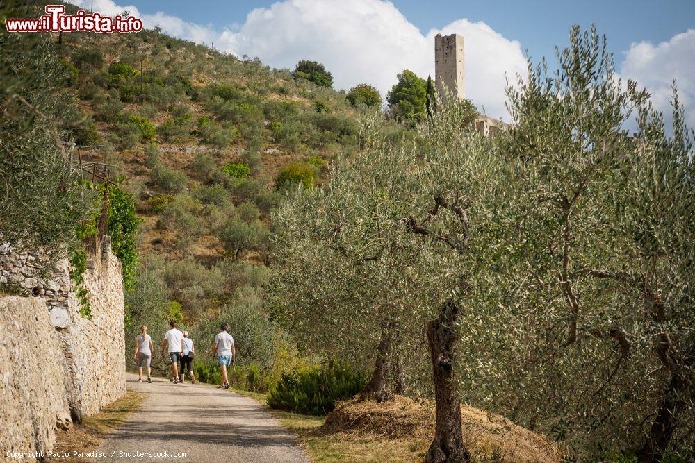 Immagine Turisti lungo un sentiero in direzione del Castello di Pissignano in Umbria. - © Paolo Paradiso / Shutterstock.com