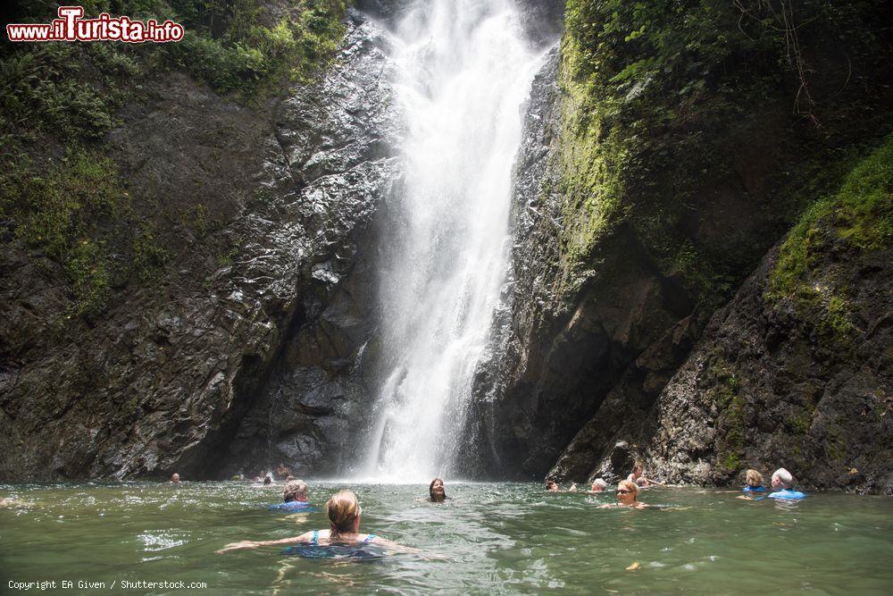 Immagine Turisti nuotano in una piscina naturale con una cascata nei pressi di Suva, isola di Viti Levu, Figi - © EA Given / Shutterstock.com