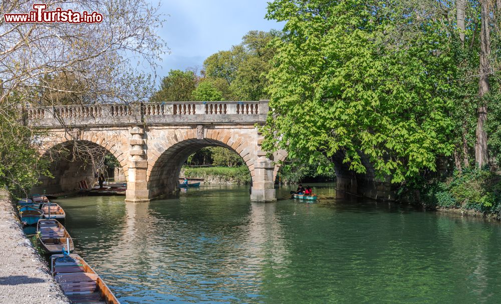 Immagine Turisti su una piccola barca nel fiume Cherwell a Oxford, Inghilterra (UK), vicino ai Giardini Botanici e Magdalen Bridge.