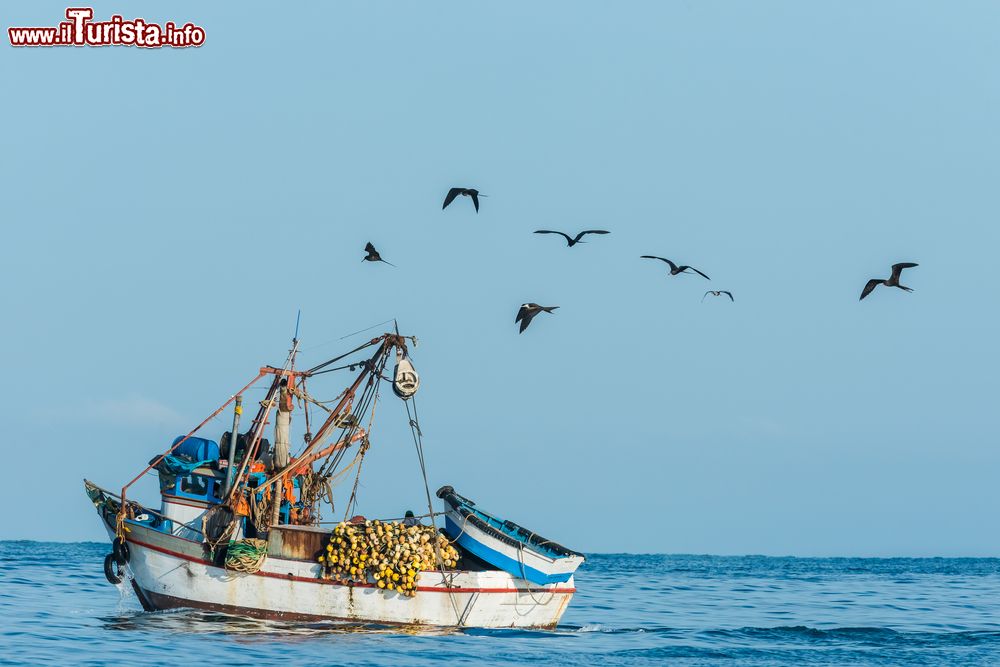 Immagine Uccelli in volo e una barca da pesca lungo la costa peruviana nei pressi di Piura, Perù.