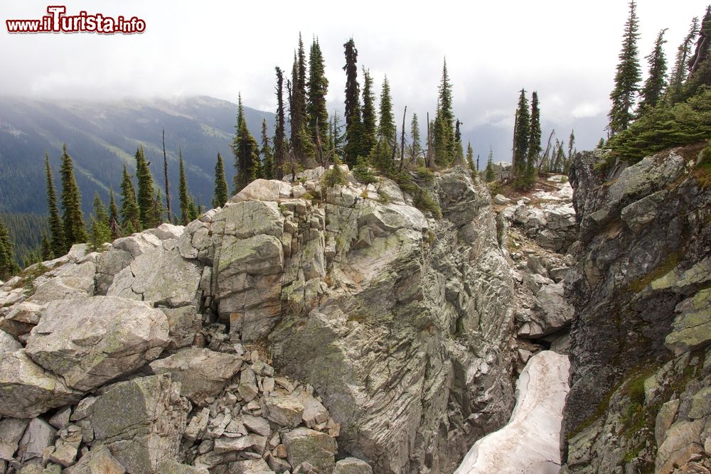 Immagine Ultimo tratto di un ghiacciaio fra le rocce del Mount Revelstoke, Canada.