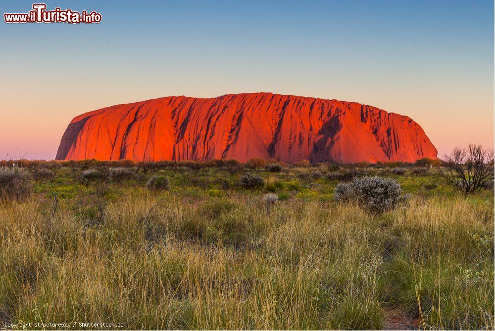 Immagine Uluru - Ayers Rock: gli ultimi raggi di sole icendiano le rocce della montagna sacra australiana - © structuresxx / Shutterstock.com
