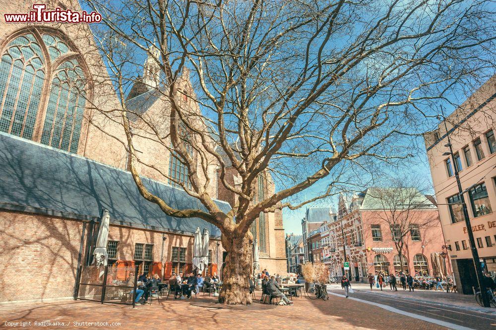 Immagine Un albero spoglio davanti a un caffé all'aperto e alla chiesa Nieuwe Kerk a L'Aia, Olanda - © Radiokafka / Shutterstock.com