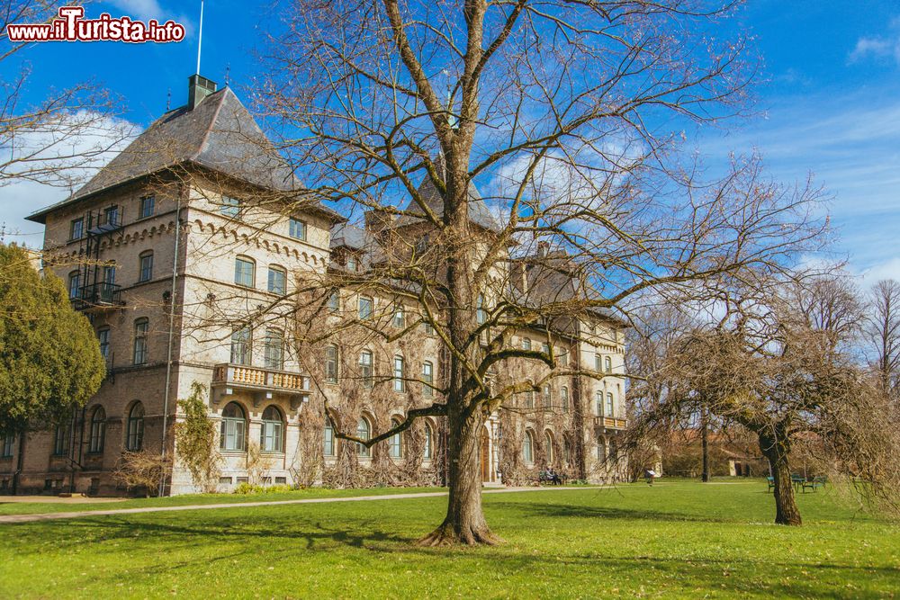 Immagine Un antico palazzo medievale simile al castello di Harry Potter, Svezia: si tratta dell'università di Alnarp nei pressi di Malmo.