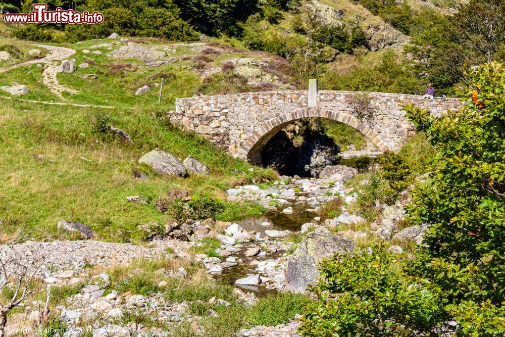 Immagine Un antico ponte romanico sul fiume Neste a Bagneres-de-Luchon, Alta Garonna, Francia - © JordiCarrio / Shutterstock.com