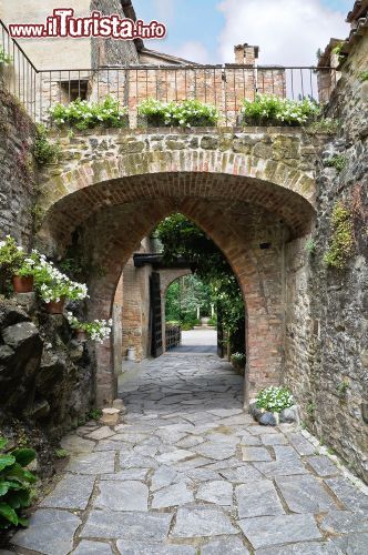 Immagine Un arco gotico lungo le mura del Castello di Gropparello - © Mi.Ti. / Shutterstock.com