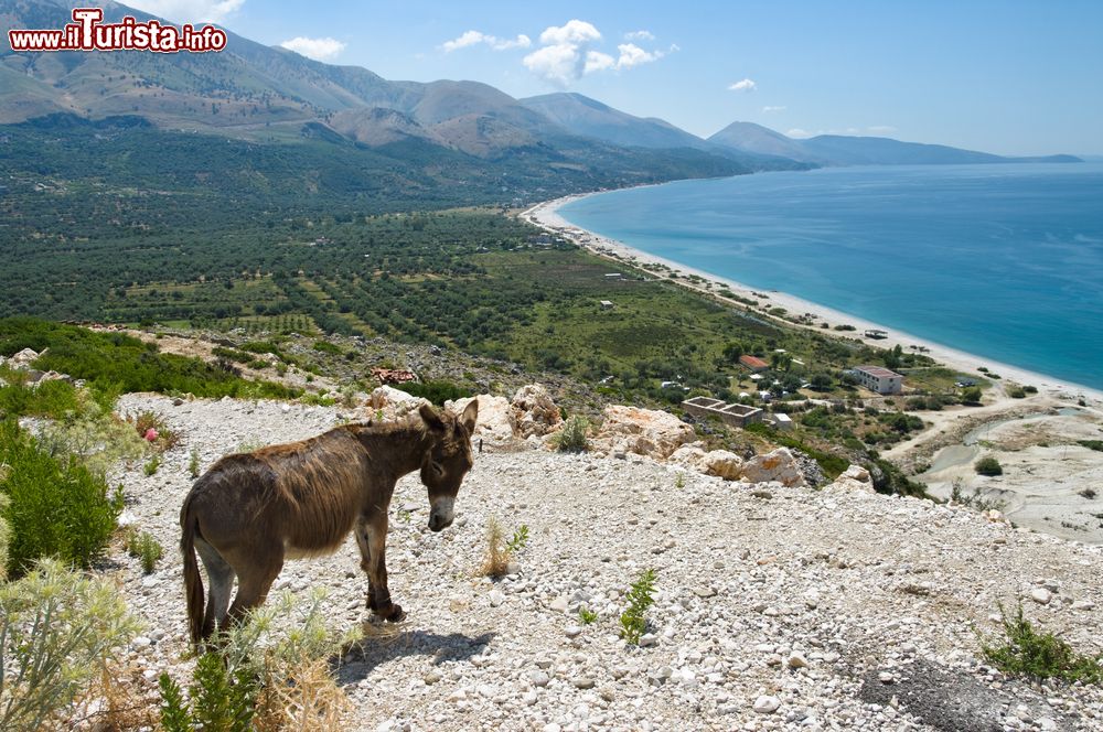 Le foto di cosa vedere e visitare a Qeparo