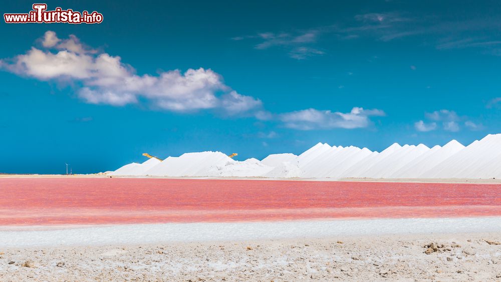 Immagine Un bacino di acqua salata sull'isola di Bonaire, Antille. Fra le principali attrazioni dell'isola ci sono le saline che sono oltretutto un importante habitat per fenicotteri, sterne, aironi, crostacei, molluschi e altre specie faunistiche.