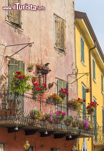 Immagine Un balcone fiorito nel centro storico di Torri del Benaco, Verona, Veneto. Questo grazioso borgo sorge sulla media costa del Lago di Garda, al confine con Garda a sud e Brenzone sul Garda a nord - © 141762805 / Shutterstock.com