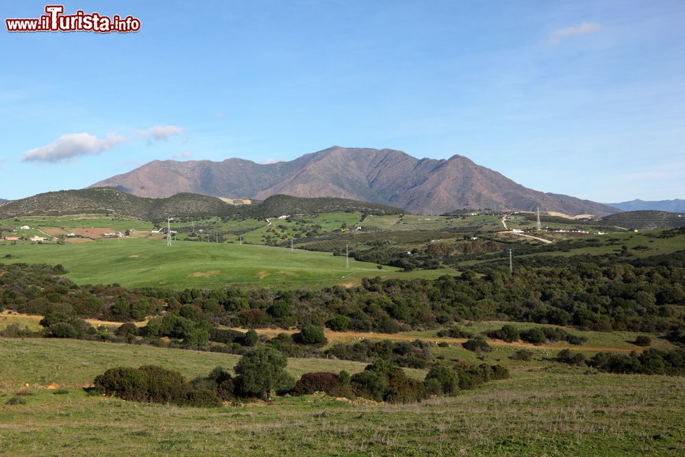 Immagine Un bel paesaggio naturale nei pressi della città di Estepona, Spagna.