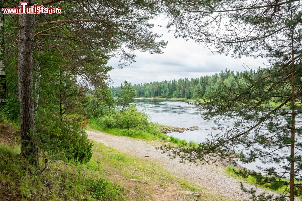 Immagine Un bel panorama estivo fra Kemi e Rovaniemi, Lapponia, Finlandia. Foreste e laghi sono gli elementi naturali che caratterizzano queste terre al nord del paese.
