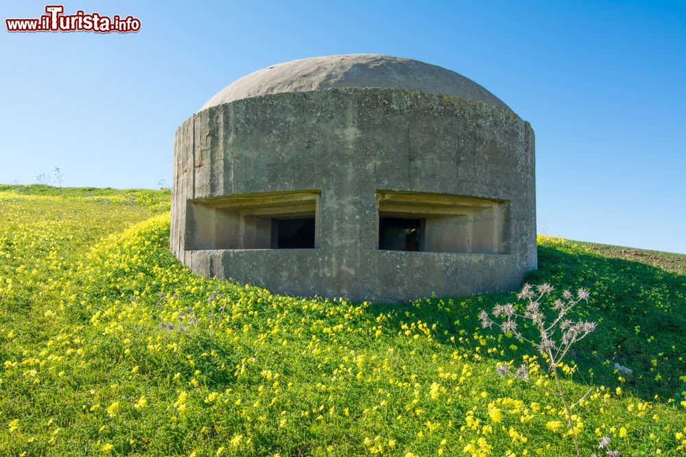 Immagine Un bunker tedesco sulla costa sud della Sicilia, nei pressi di Gela
