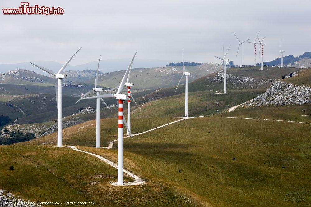 Immagine Un campo eolico devasta il paesaggio vicino a Frosolone in Molise - © Alessia Pierdomenico / Shutterstock.com