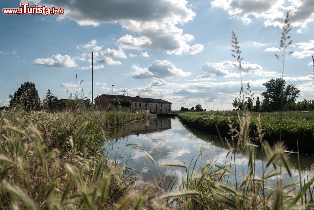 Immagine Un canale nelle campagne di Isola della Scala  vicino a Verona, Veneto
