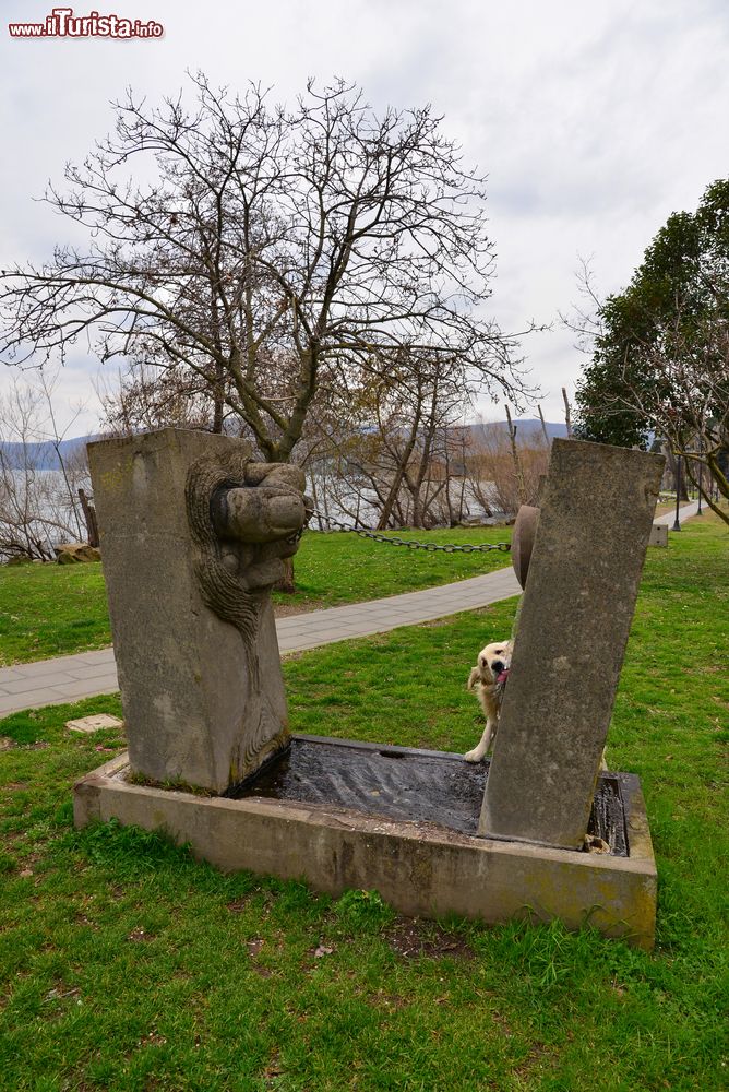 Immagine Un cane si abbevera in una fontana di Trevignano Romano, provincia di Roma.