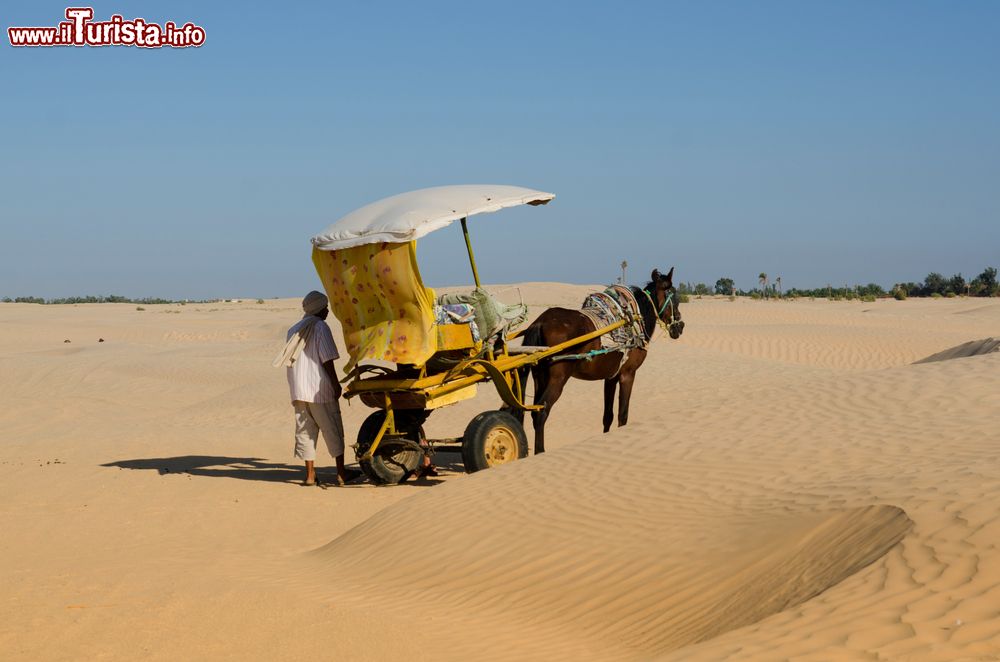 Immagine Un carretto trainato da un cavallo sulle dune nei pressi di Douz, Tunisia.