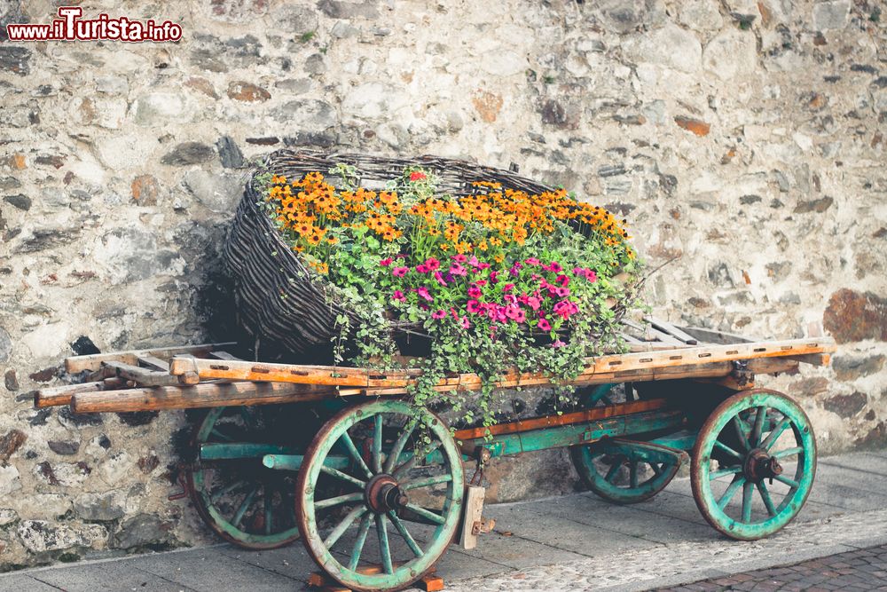 Immagine Un carro colmo di fiori per le strade di Pellizzano in Trentino