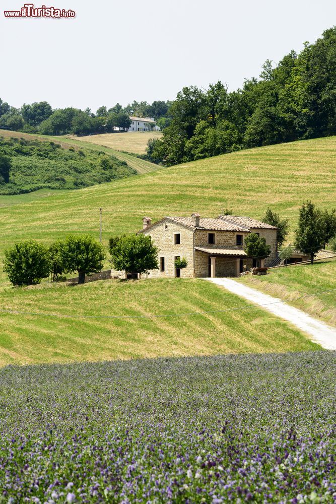 Immagine Un casolare nelle colline intorno a Pergola, regione Marche