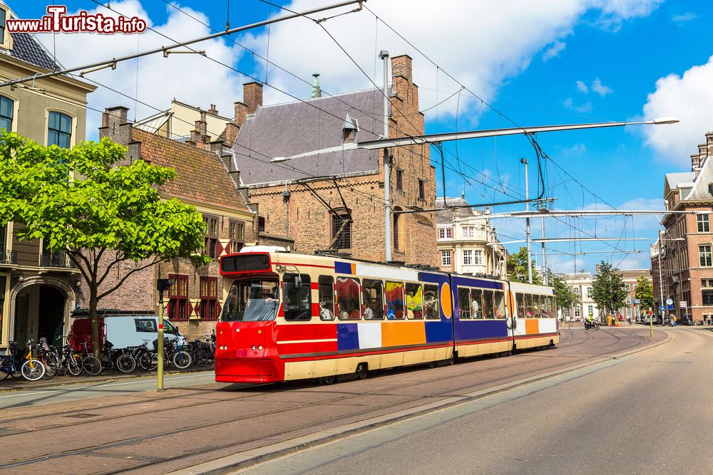 Immagine Un colorato tram cittadino a L'Aia (Olanda) in una giornata estiva con il sole.