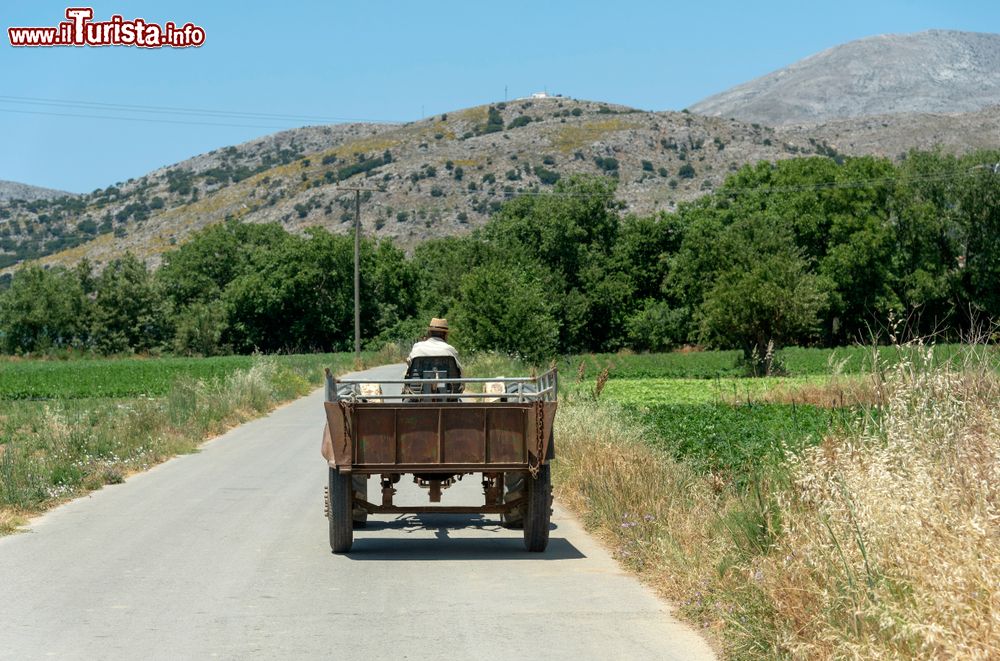 Immagine Un contadino con trattore e carretto nella pianura di Lassithi, isola di Creta (Grecia).