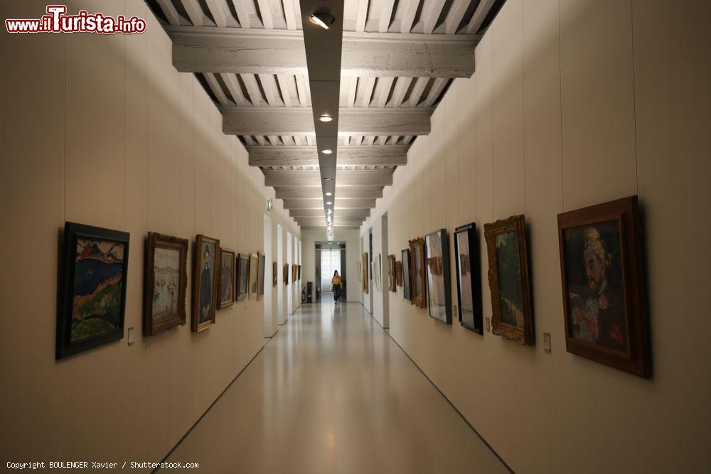 Immagine Un corridoio con quadri al museo Fabre di Montpellier, Francia. Principale museo d'arte della città, si sviluppa su uan superficie di oltre 9 mila metri qaudrati. Venne inaugurato nel dicembre 1828 - © BOULENGER Xavier / Shutterstock.com