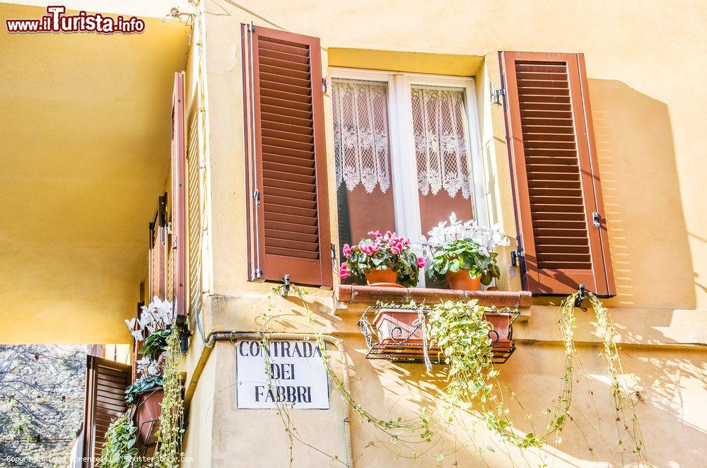 Immagine Un dettaglio di una casa del centro storico di Santarcangelo di Romagna - © Luca Lorenzelli / Shutterstock.com