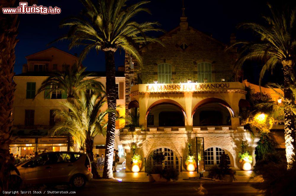 Immagine Un edificio con palme illuminato dalle luci della sera a Le Lavandou, Francia - © Spirit Stock / Shutterstock.com