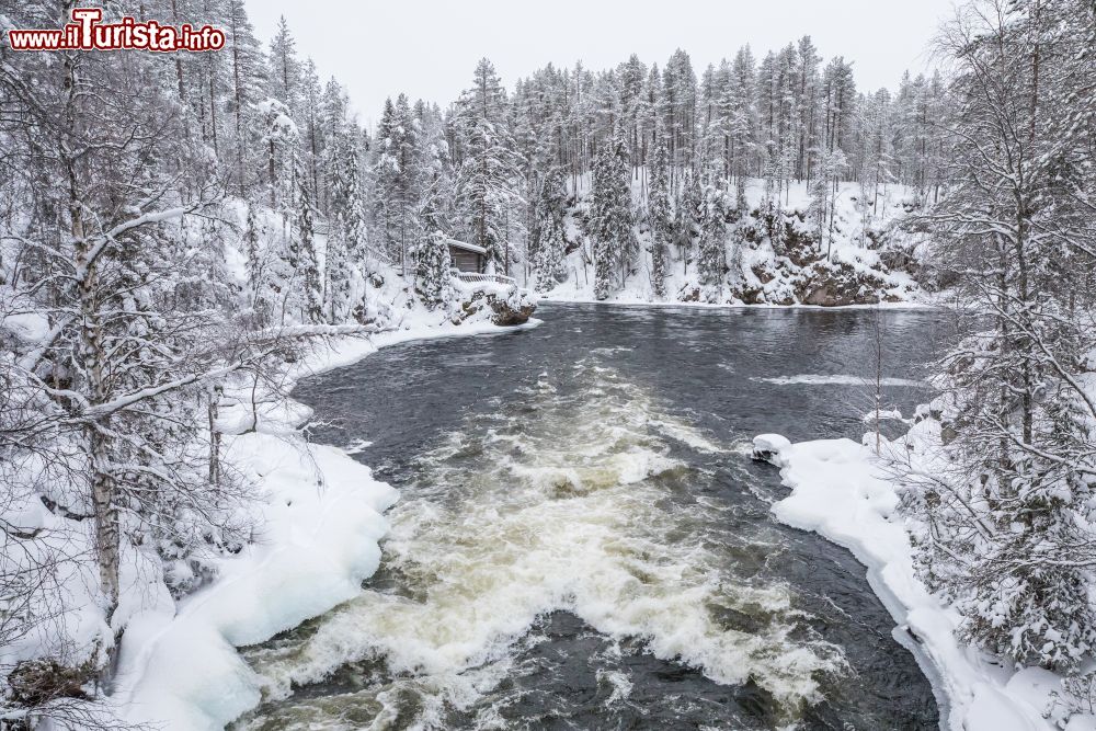 Immagine Un fiume ghiacciato in inverno nell'Oulanka National Park, Ruka, Finlandia. Istituito nel 1956 e più volte ampliato, si estende su una susperficie di 270 km quadrati.