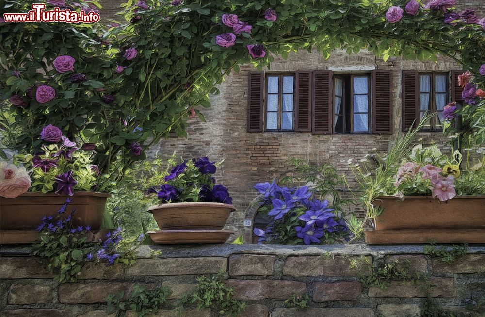 Immagine Un giardino fiorito nel villaggio medievale di Buonconvento, Toscana.