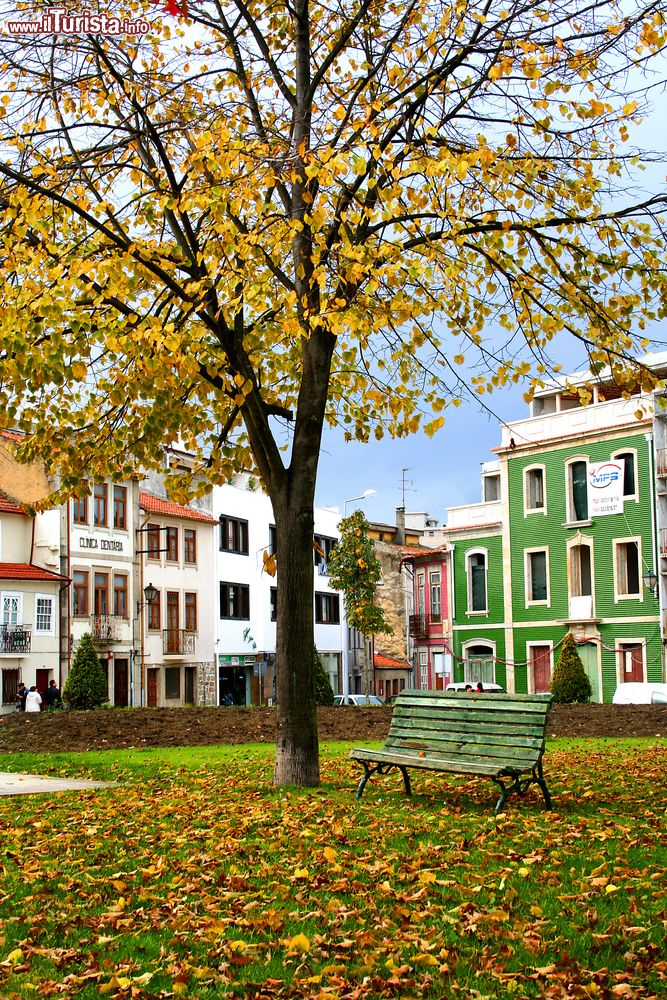 Immagine Un giardino pubblico con foliage autunnale nel centro di Barcelos, distretto di Braga, Portogallo.