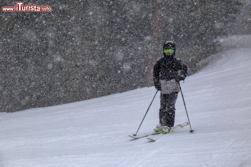 Immagine Un giovane sciatore ad Aspen, Colorado, durante una tempesta di neve.