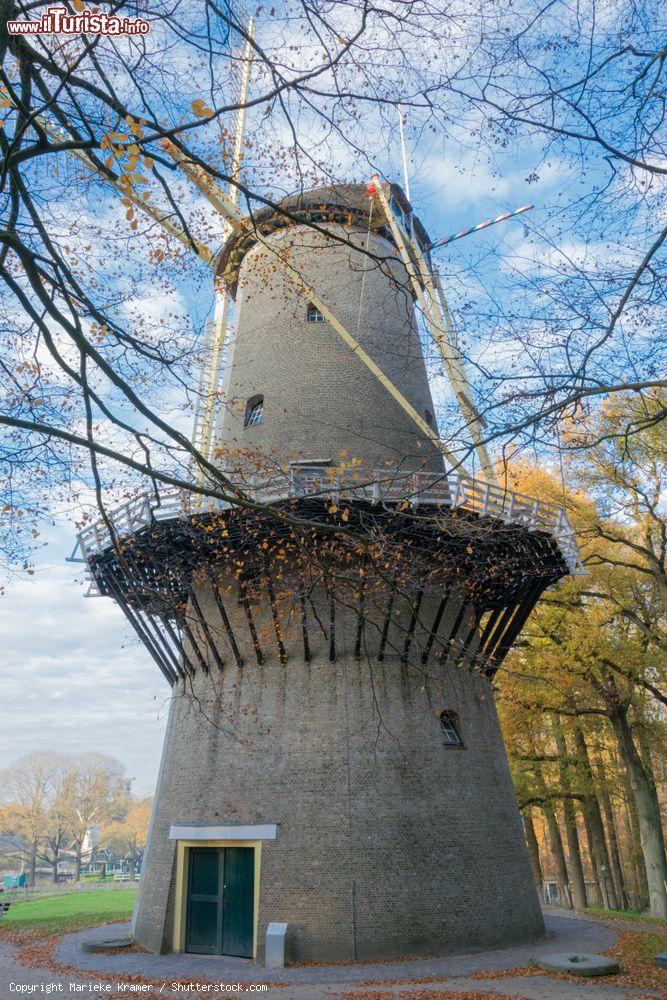 Immagine Un grande mulino a vento nel Museo all'Aperto di Arnhem, Olanda, in autunno - © Marieke Kramer / Shutterstock.com
