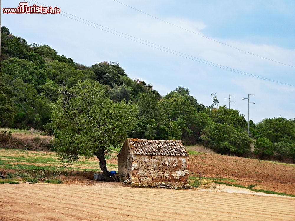 Immagine Un grazioso angolo rurale nelle campagne attorno a Ricadi, Calabria.