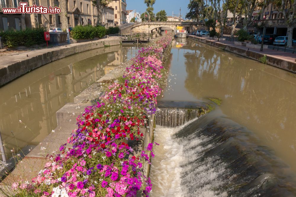 Immagine Un grazioso scorcio del canale della Robine abbellito con fiori colorati, Narbona, Francia.