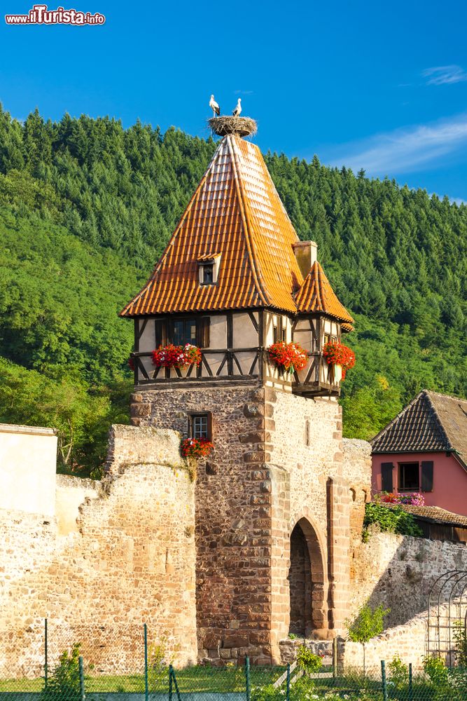 Immagine Un grazioso scorcio del villaggio di Chatenois, Alsazia (Francia): un'antica costruzione a torre con le cicogne sul tetto.
