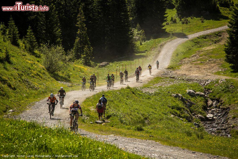 Immagine Un gruppo di ciclisti in mountain bike percorre un sentiero a Morzine, Francia, fra campi e pinete - © Victor Lucas Photography / Shutterstock.com