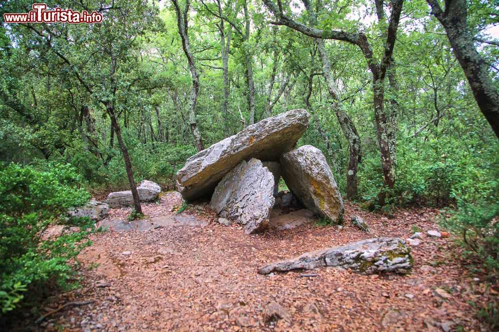 Immagine Un gruppo di tre dolmen nelle campagne di Barjac in Francia