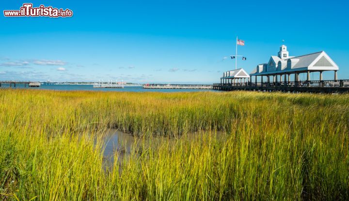 Immagine Un'immagine del porto di Charleston presa dal Waterfront Park. Quello di Charleston è uno dei porti più importanti della costa atlantica degli Stati Uniti - foto © Fotoluminate LLC / Shutterstock.com