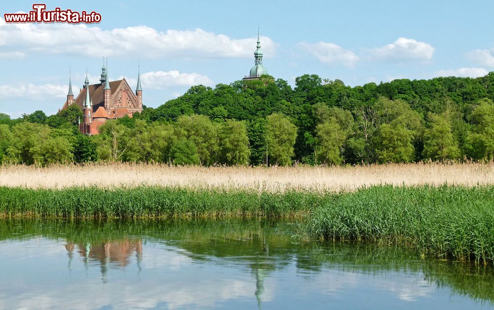 Immagine Un laghetto in un parco cittadino di Zamosc, Polonia. Sullo sfondo, la skyline di questa città situata nella parte sud orientale del paese.