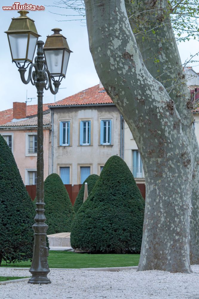 Immagine Un lampione e un albero di sicomoro in un parco pubblico di Narbona, Francia. 